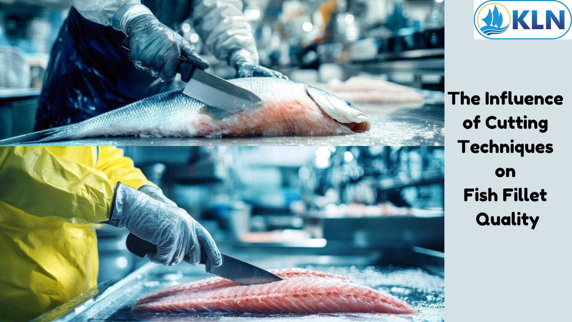 The Influence of Cutting Techniques on Fish Fillet Quality